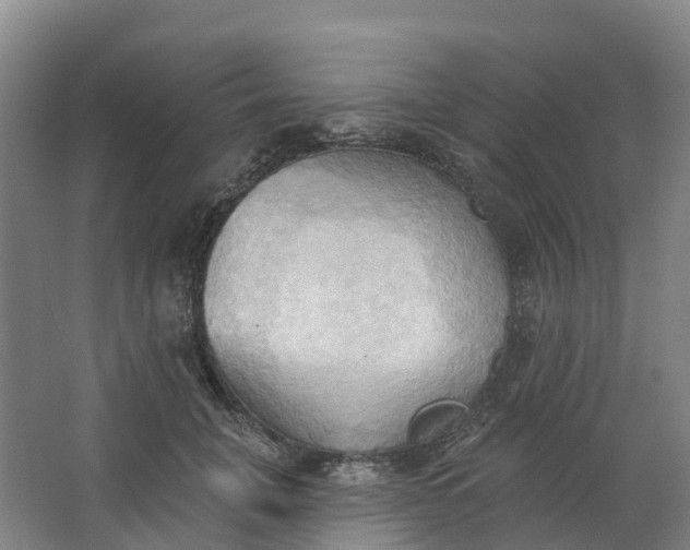 X0000062890751200601271647