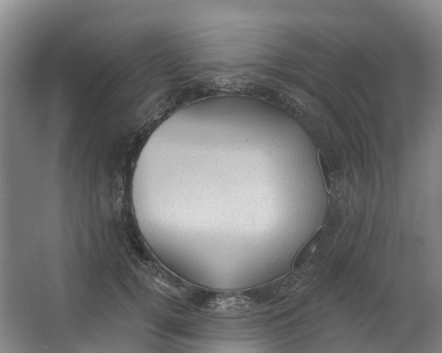 X0000062890752200601271647