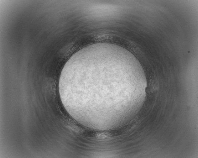 X0000062890753200601271647