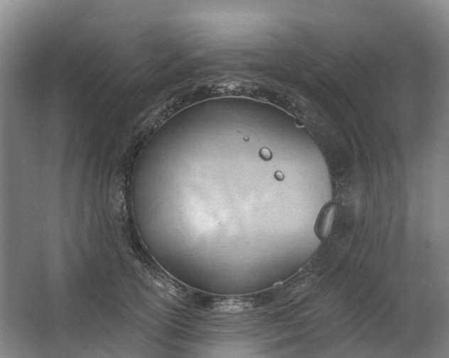 X0000062890754200601271647