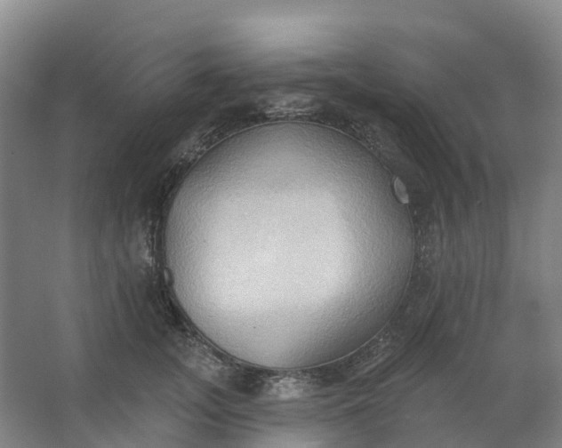 X0000062890755200601271647