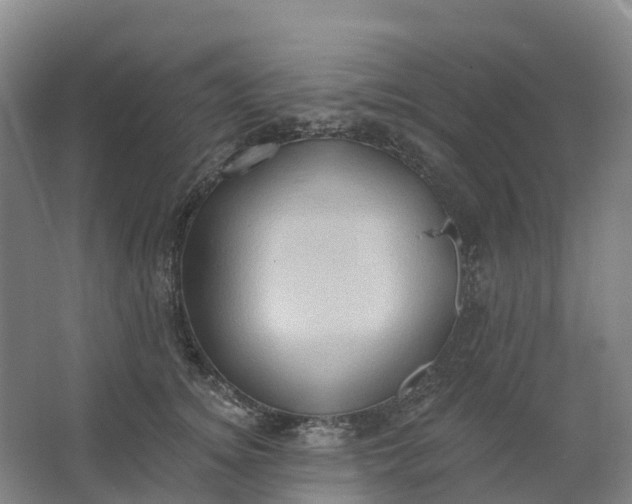 X0000062890756200601271647