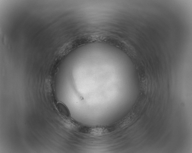 X0000062890757200601271647