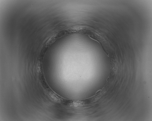 X0000062890758200601271647