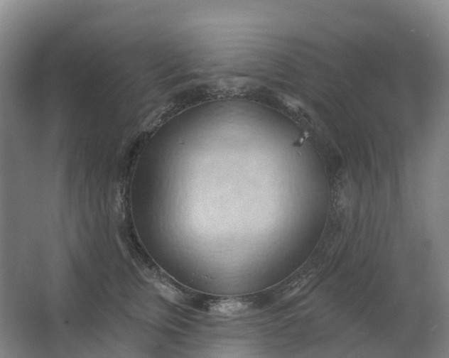 X0000062890759200601271647