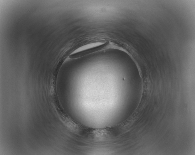 X0000062890762200601271647