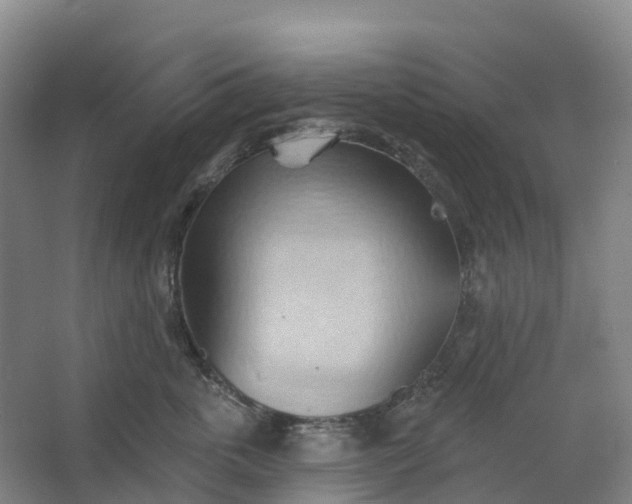 X0000062890763200601271647