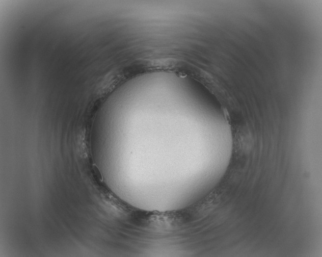 X0000062890764200601271647