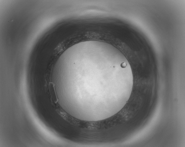 X0000062890765200601271647