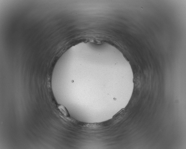 X0000062890766200601271647