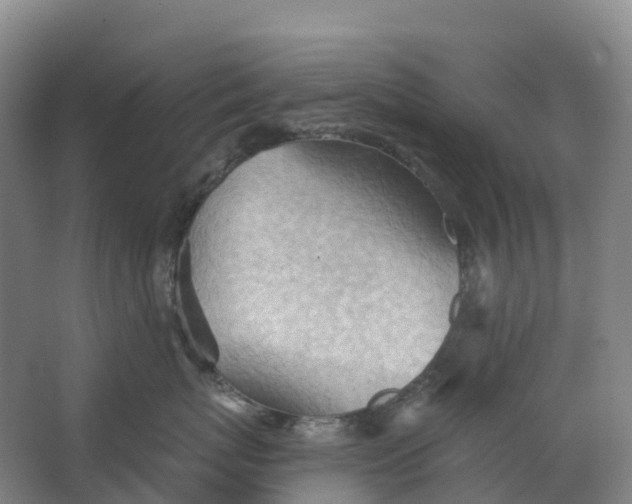 X0000062890767200601271647