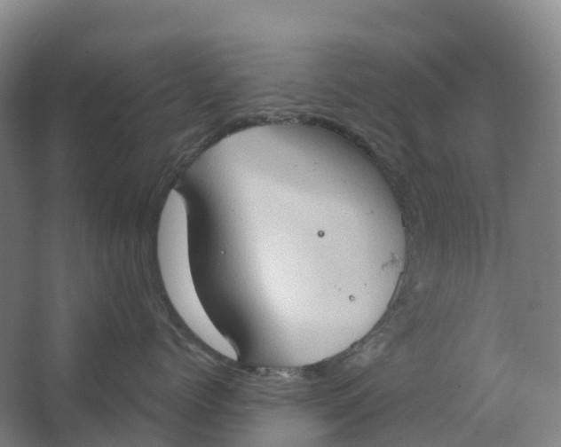 X0000062890768200601271647