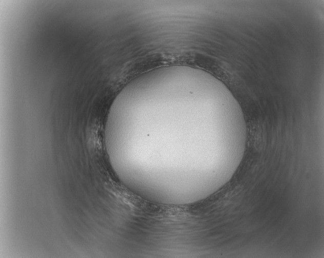 X0000062890770200601271647