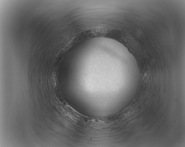 X0000062890772200601271647