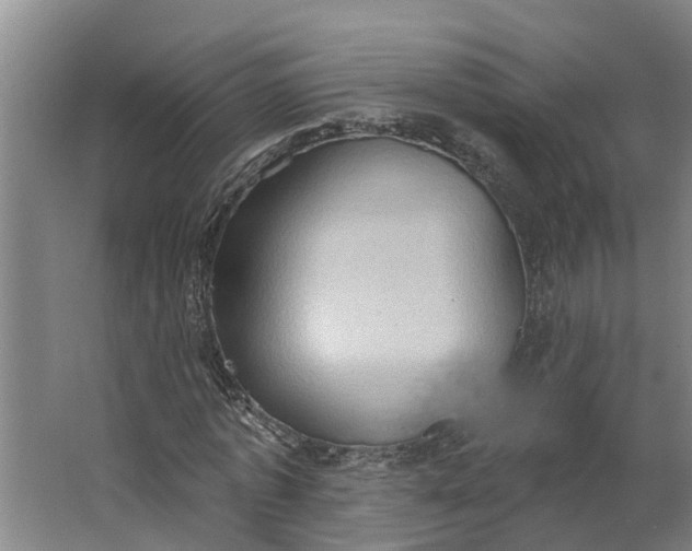 X0000062890773200601271647