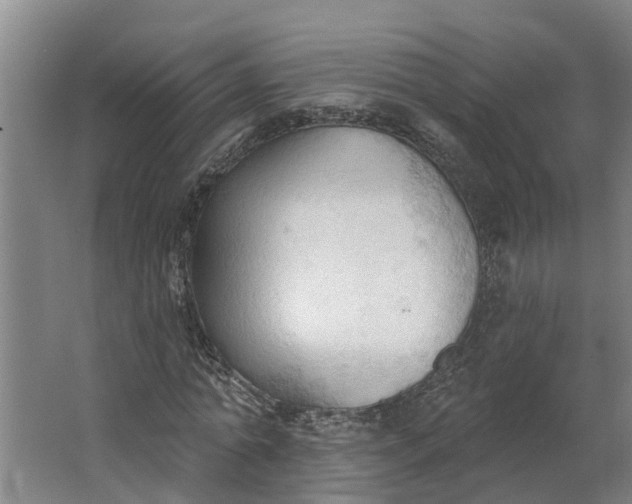 X0000062890774200601271647