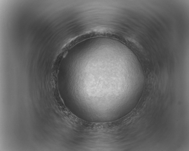 X0000062890776200601271647