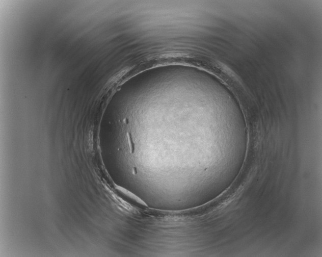 X0000062890777200601271646