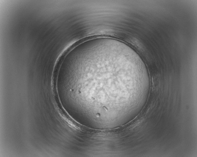 X0000062890780200601271646