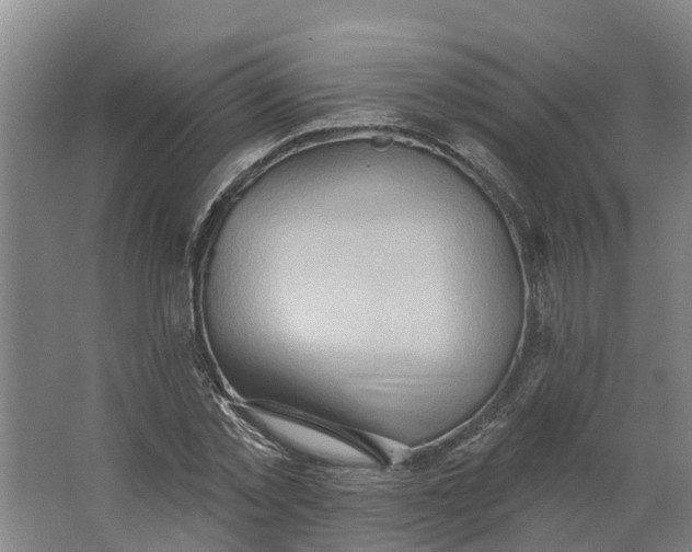 X0000062890781200601271646