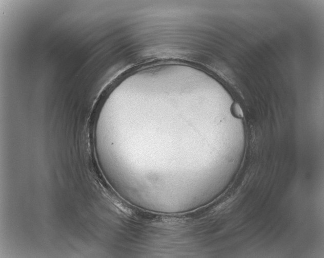 X0000062890782200601271646