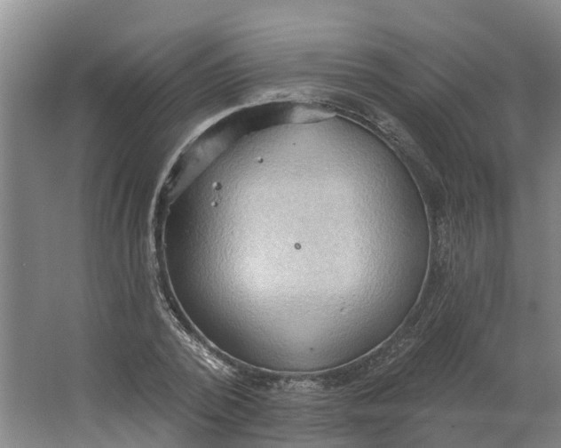 X0000062890784200601271646