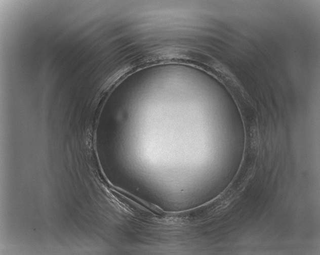 X0000062890785200601271646