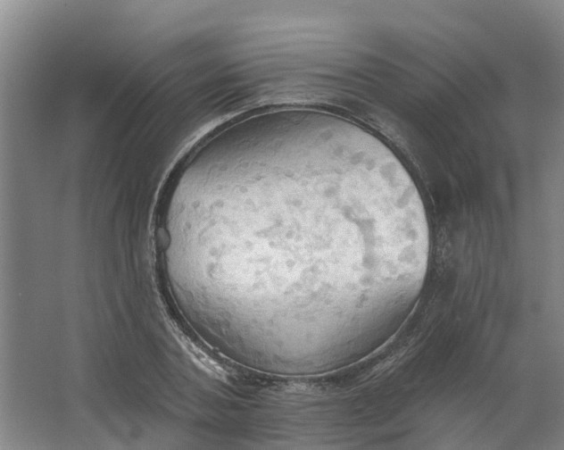 X0000062890787200601271646