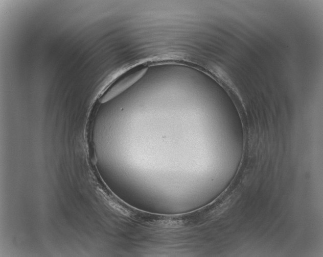 X0000062890789200601271646