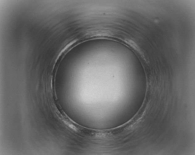 X0000062890790200601271646