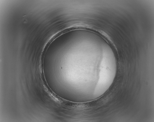 X0000062890791200601271646