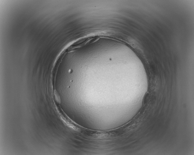 X0000062890792200601271646