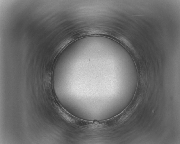 X0000062890793200601271646