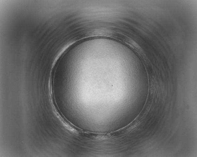 X0000062890796200601271646