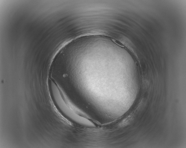 X0000062890797200601271646