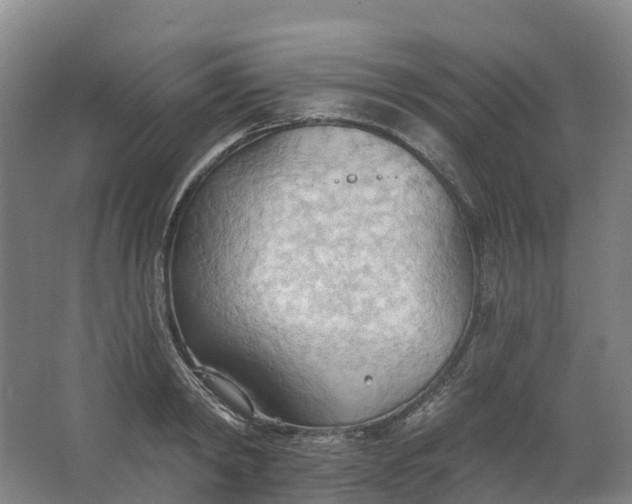 X0000062890798200601271646