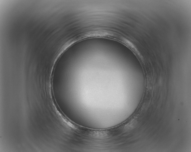 X0000062890802200601271646