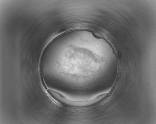 X0000062890803200601271646