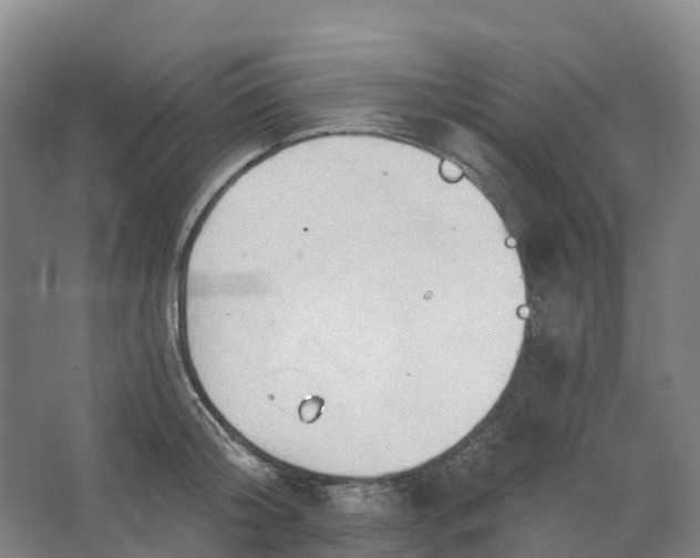 X0000062890804200601271646