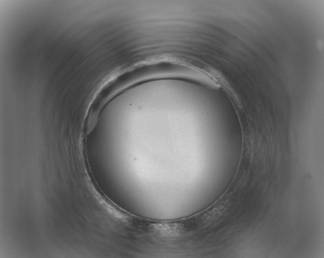 X0000062890805200601271646