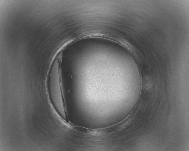 X0000062890806200601271646