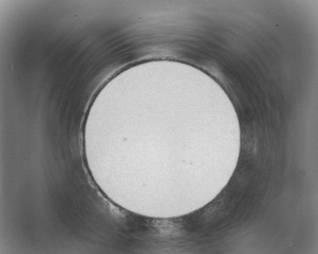 X0000062890807200601271646