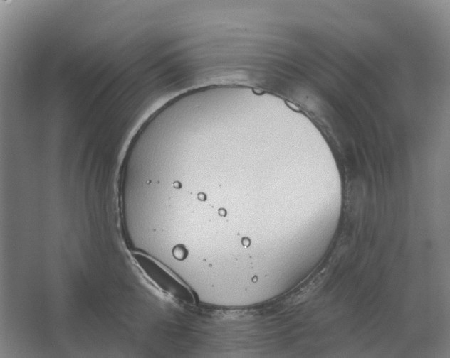 X0000062890808200601271646