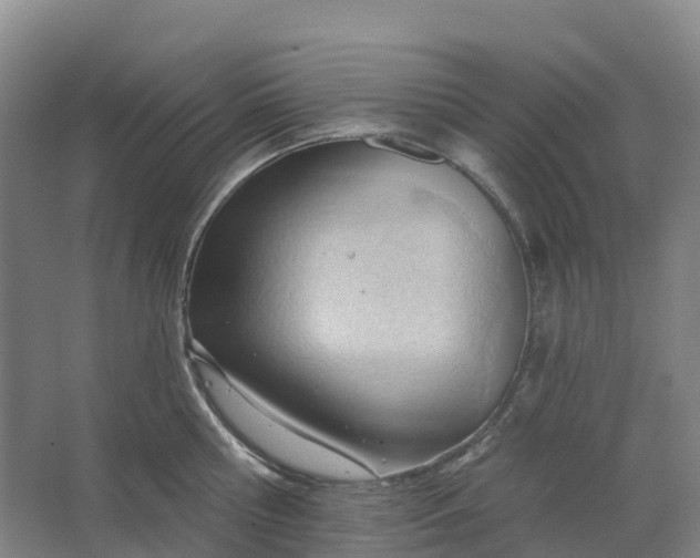 X0000062890810200601271646