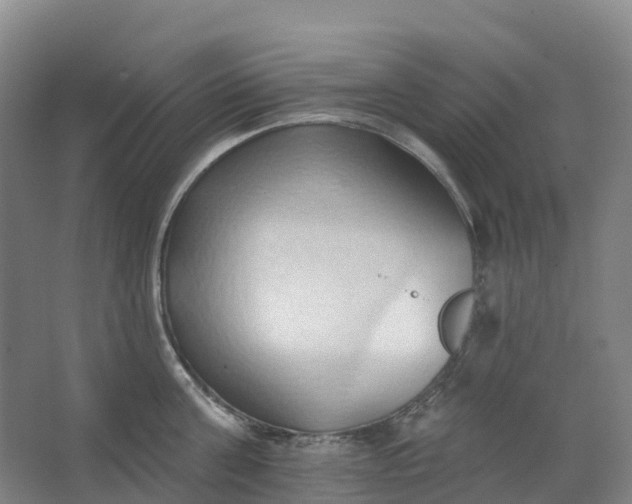 X0000062890811200601271646