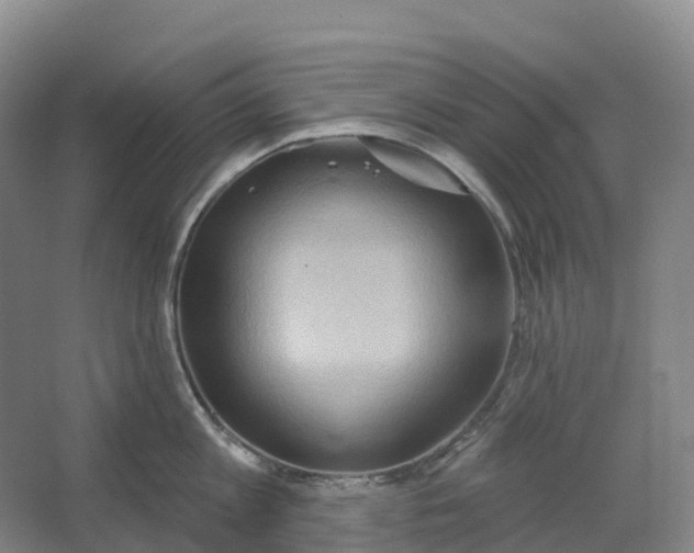 X0000062890813200601271646