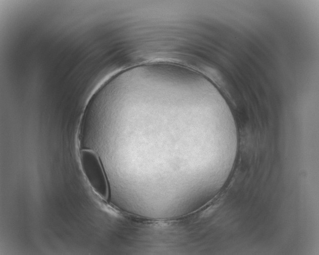 X0000062890814200601271646