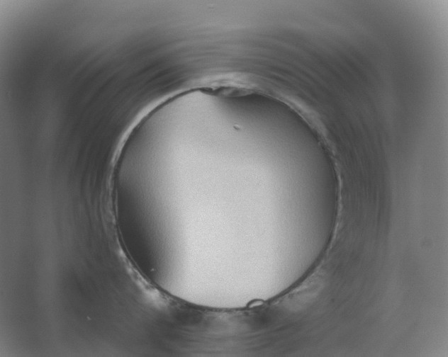 X0000062890816200601271646