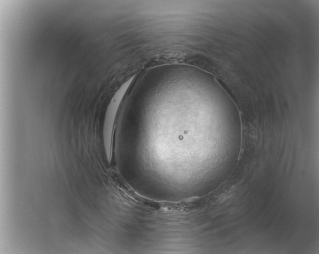 X0000062890818200601271645