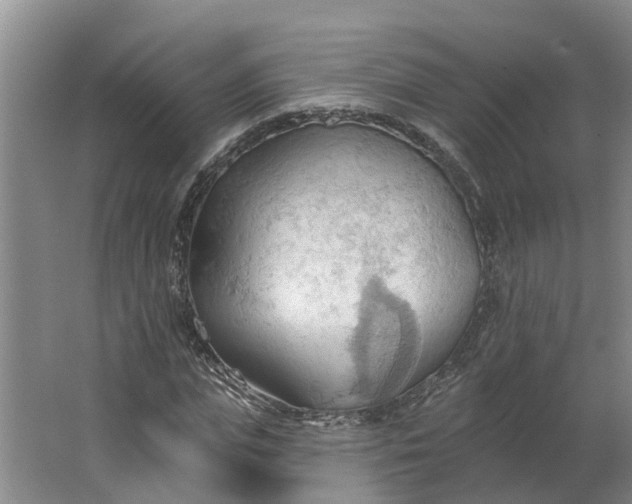 X0000062890823200601271645